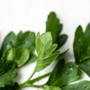 Italian Parsley
