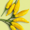 Lemon Hot Pepper