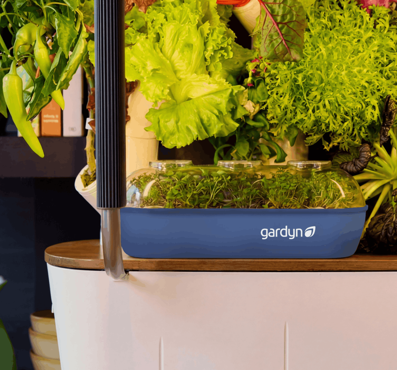 Gardyn Sprout Nursery