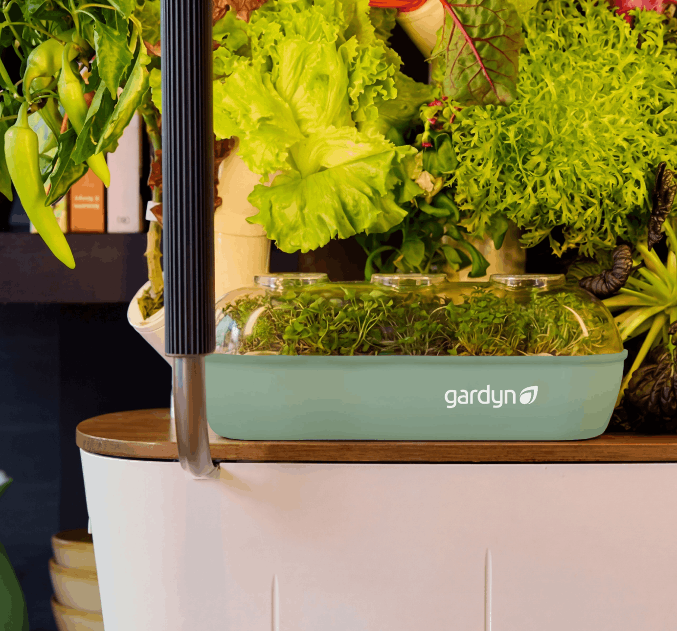 Gardyn Sprout Nursery