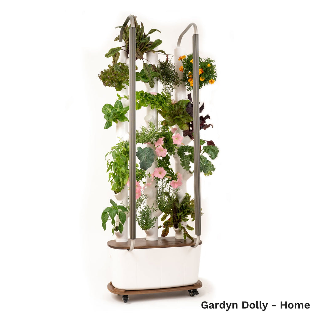 Gardyn Dolly for Home with Gardyn Home mounted - dark bamboo rolling cart with locking wheels
