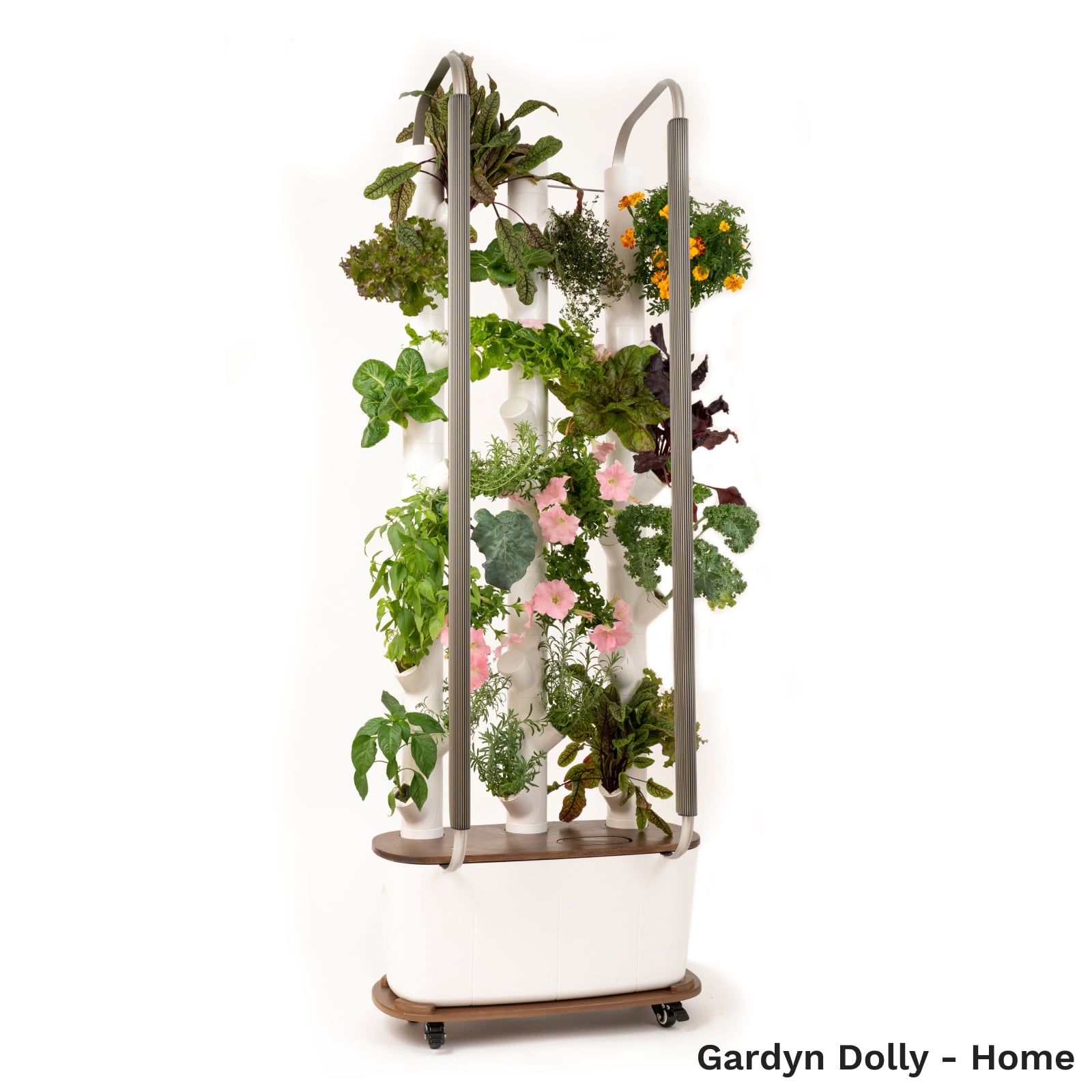Gardyn Dolly for Home with Gardyn Home mounted - dark bamboo rolling cart with locking wheels