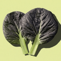 Purple Bok Choy