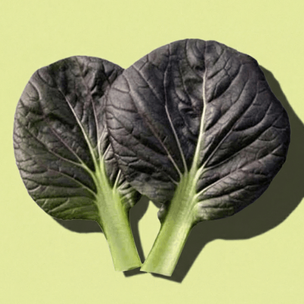Purple Bok Choy