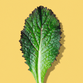Red Mustard