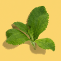 Stevia
