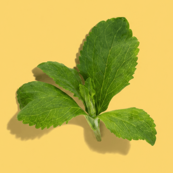 Stevia