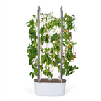 Gardyn Trellis white climbing support frame for tomatoes, beans, and cucumbers