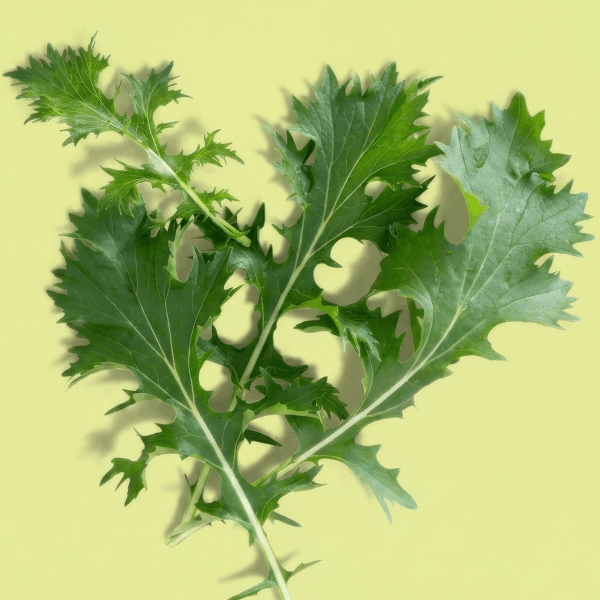 Arugula