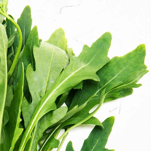 Arugula