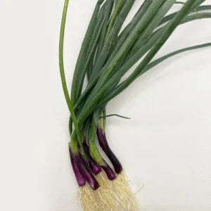 Bunching Onions