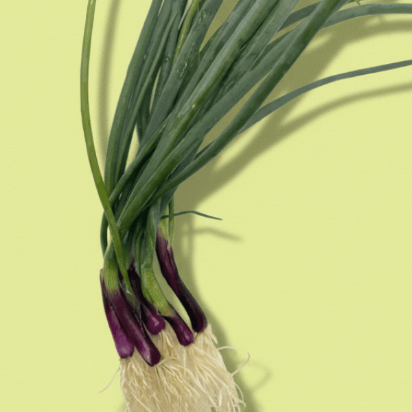 Bunching Onions