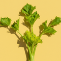 Celery