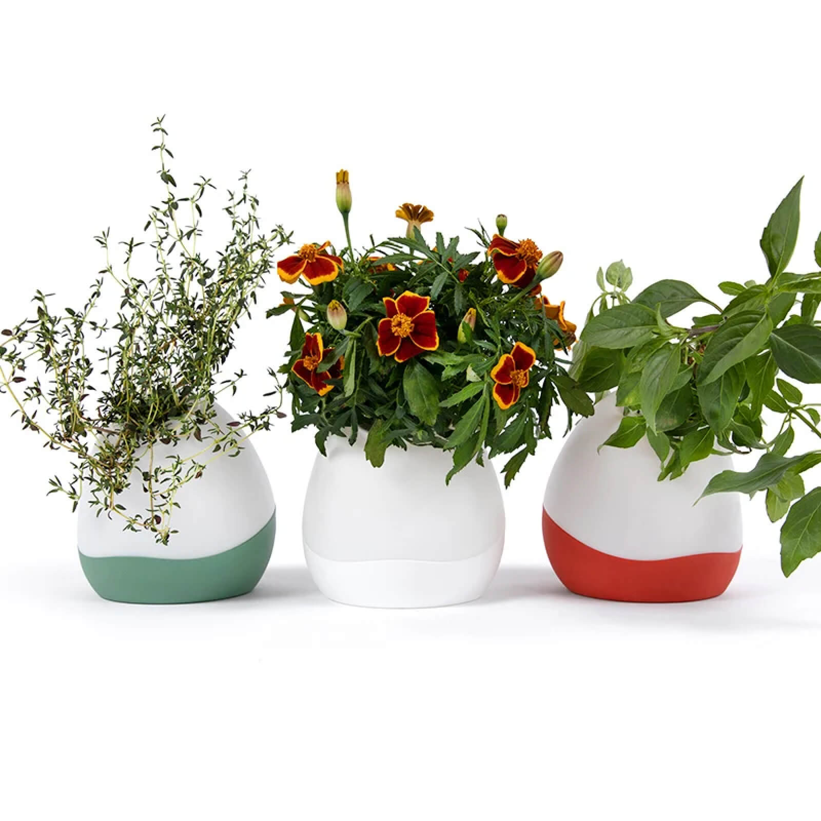 Gardyn Vase white ceramic-style single plant holder with yCube compatibility