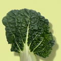 Green Bok Choy