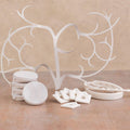 Gardyn accessory bundle combining popular growing tools and supplies