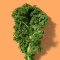 Kale