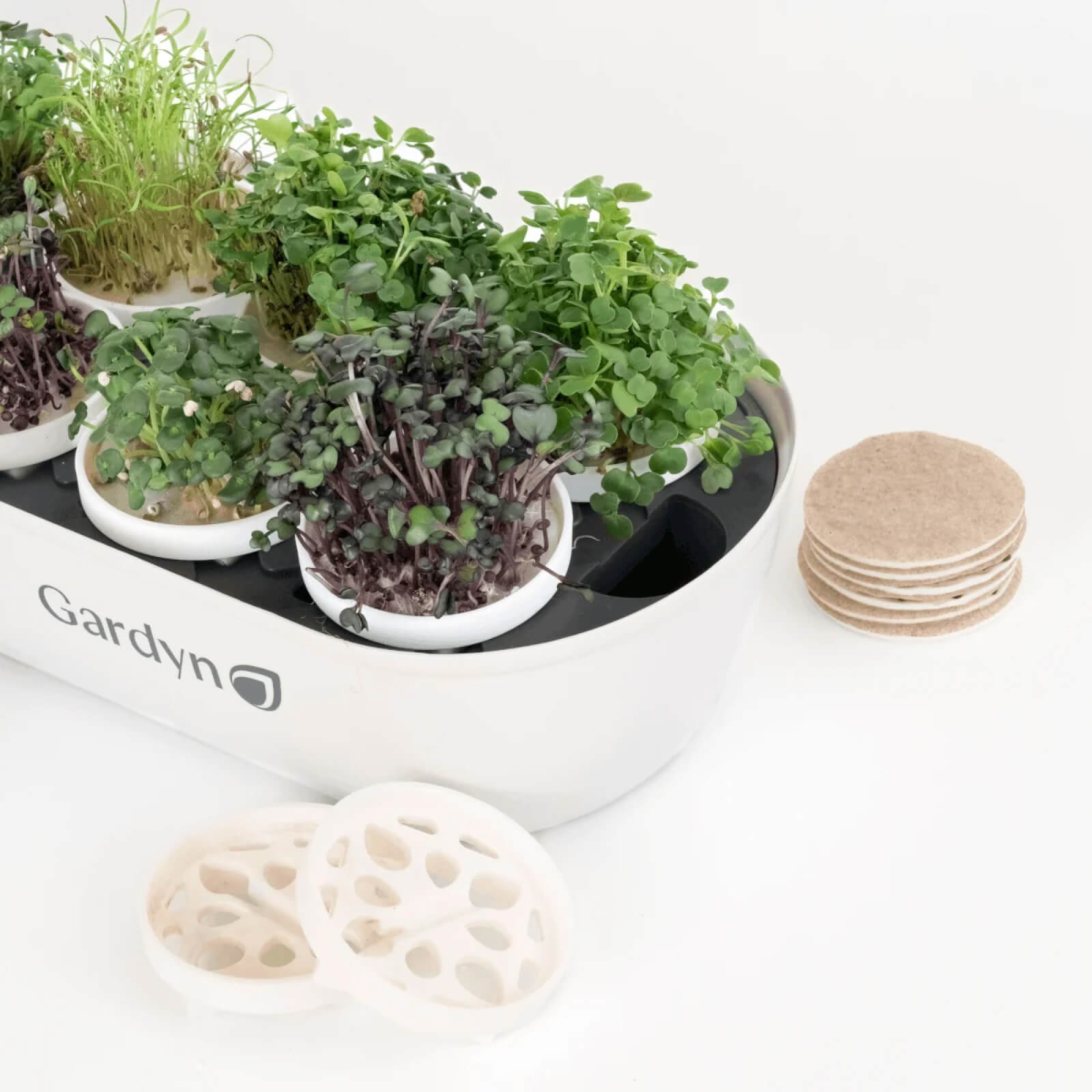 Gardyn Micro Complete growing in indoor hydroponic system