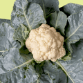 Mini Cauliflower