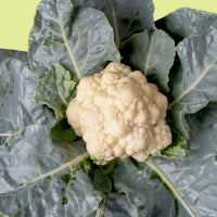 Mini Cauliflower