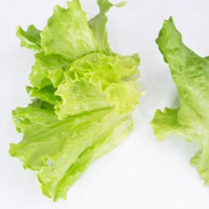 Muir Lettuce