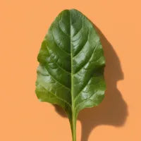 Perpetual Spinach
