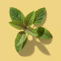 Sweet Thai Basil