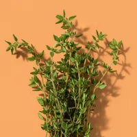 Thyme