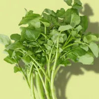 Watercress