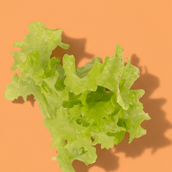 Green Salanova