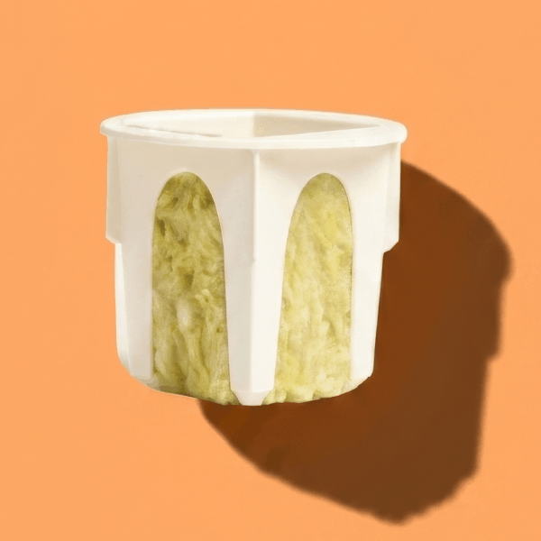 Seedless yCube