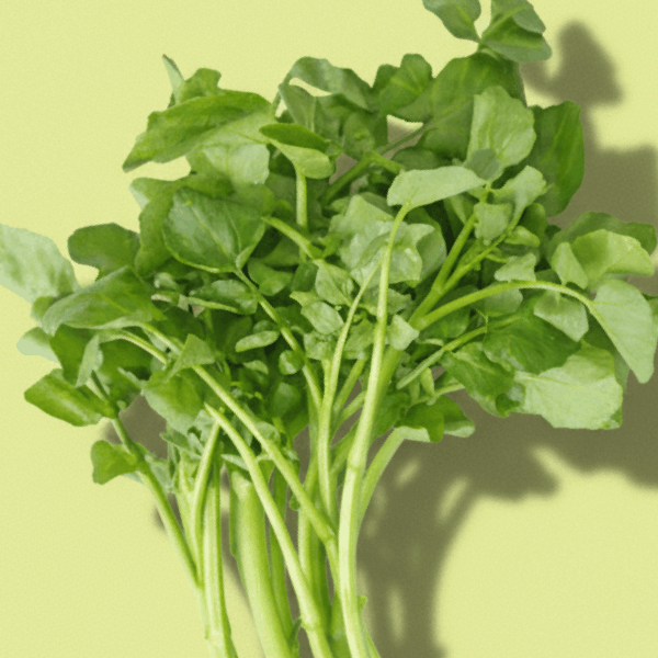 Watercress