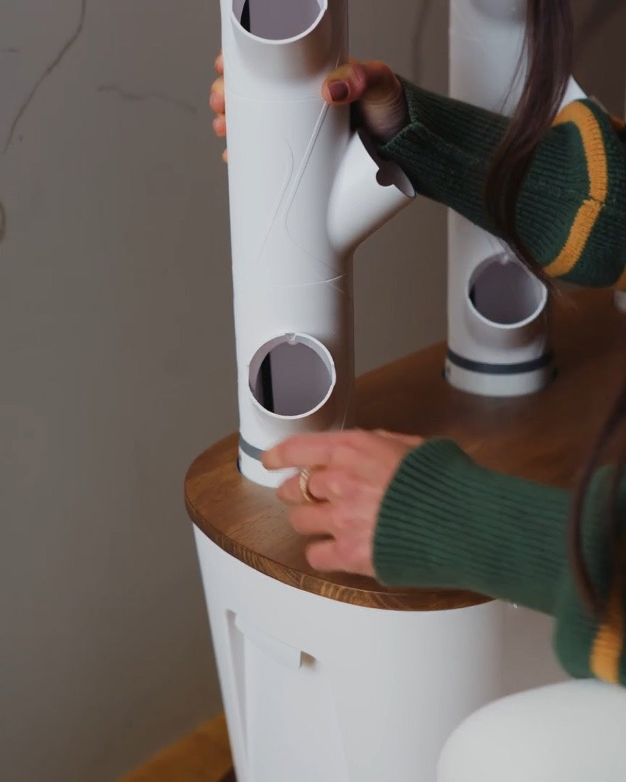 Hand placing a yCube into a Gardyn column
