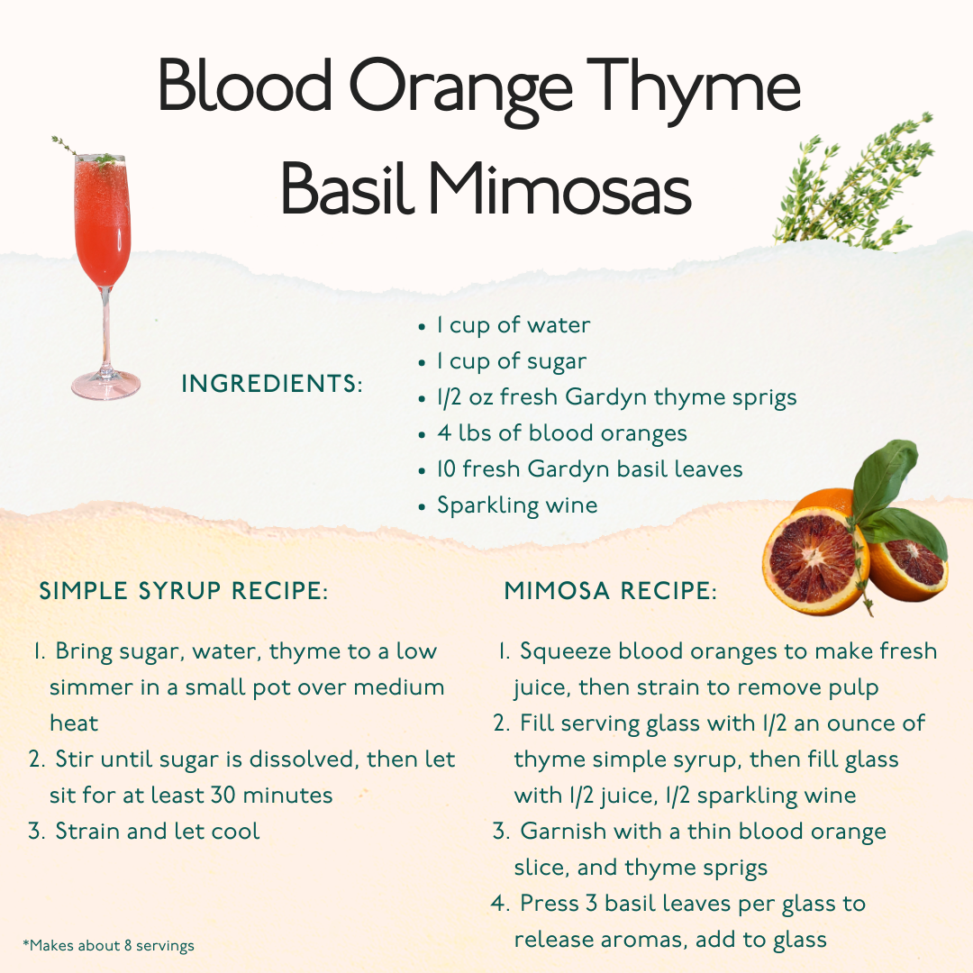 How to make a mimosa - Basil And Bubbly