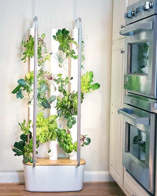 indoor-garden-grow-kitchen