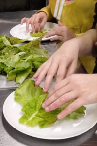 Showing how Gardyn is used in the classroom