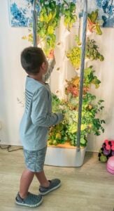 Boy with indoor garden
