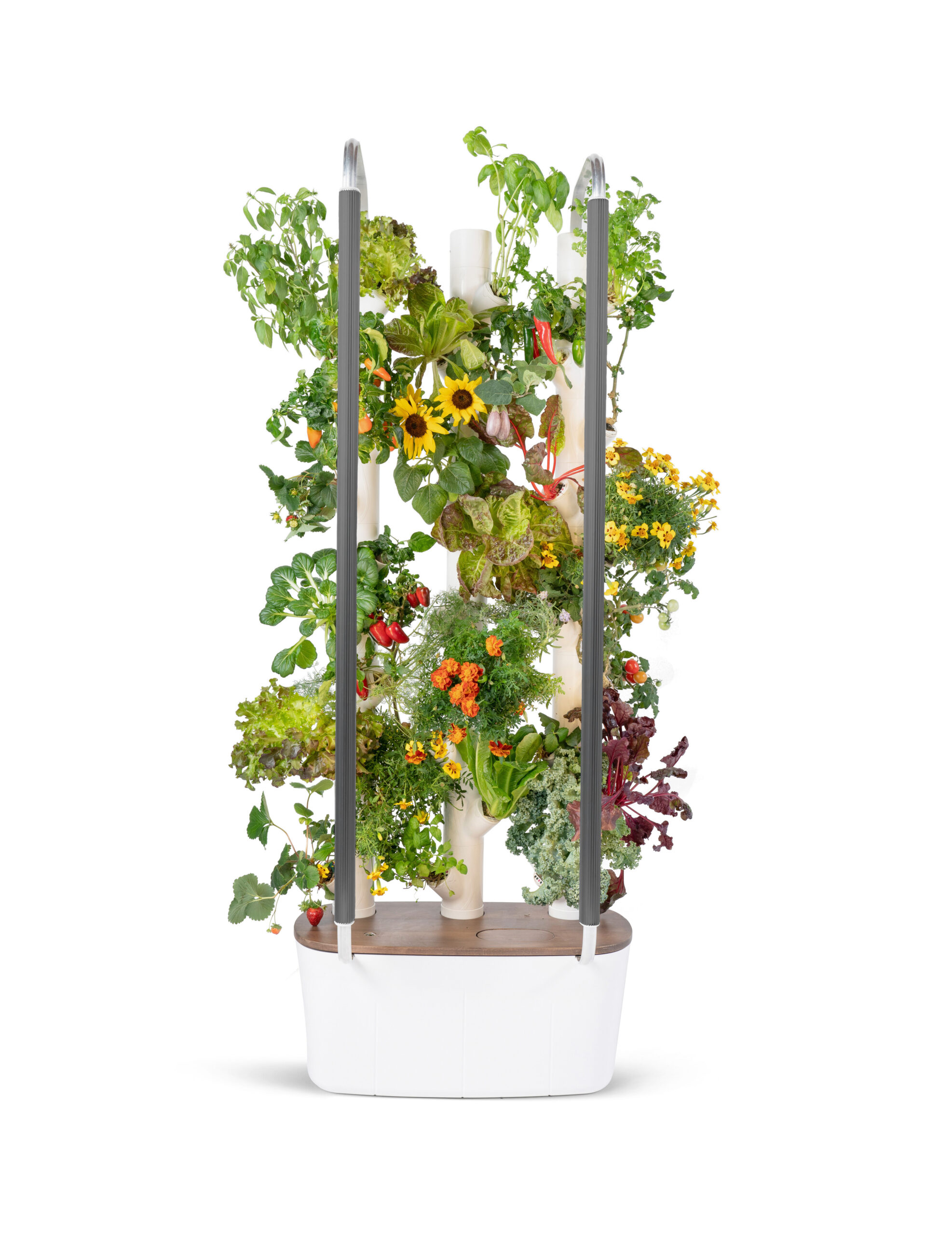 Hydroponic Tower Garden - Produce all year long ! | Gardyn