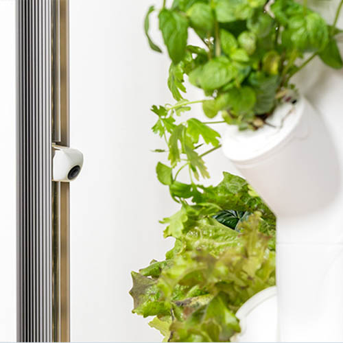 Photo of a Gardyn device featuring the Left LED and Camera and on the Right of the image there are 2 columns with plants growing.