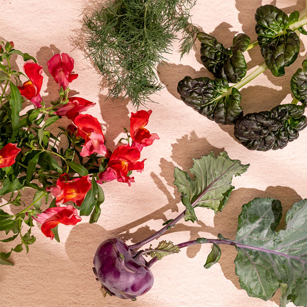 edible flowers and colorful heirloom varieties prepack