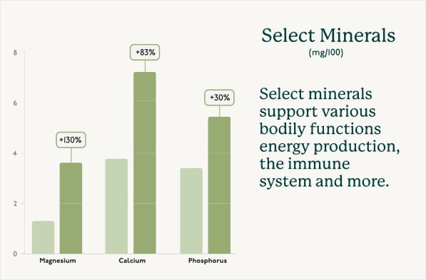 Minerals