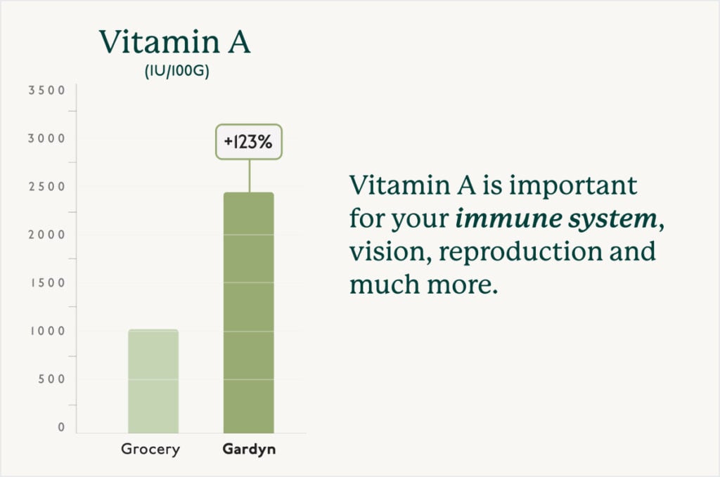 Vitamin A