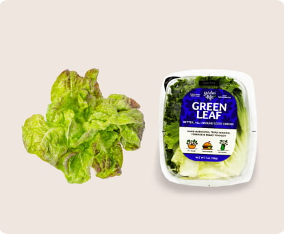 Red Leaf Lettuce. Gardyn vs. Harris Teeter