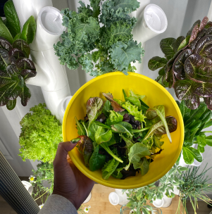 Person's hand holding a yellow bowl of greens in front of a Gardyn