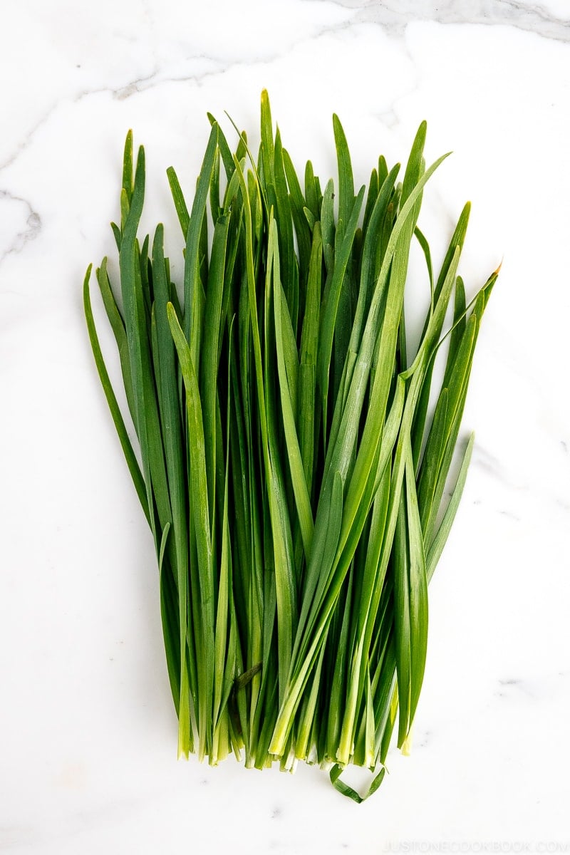 garlic chive no português - dicionário Inglês-Português