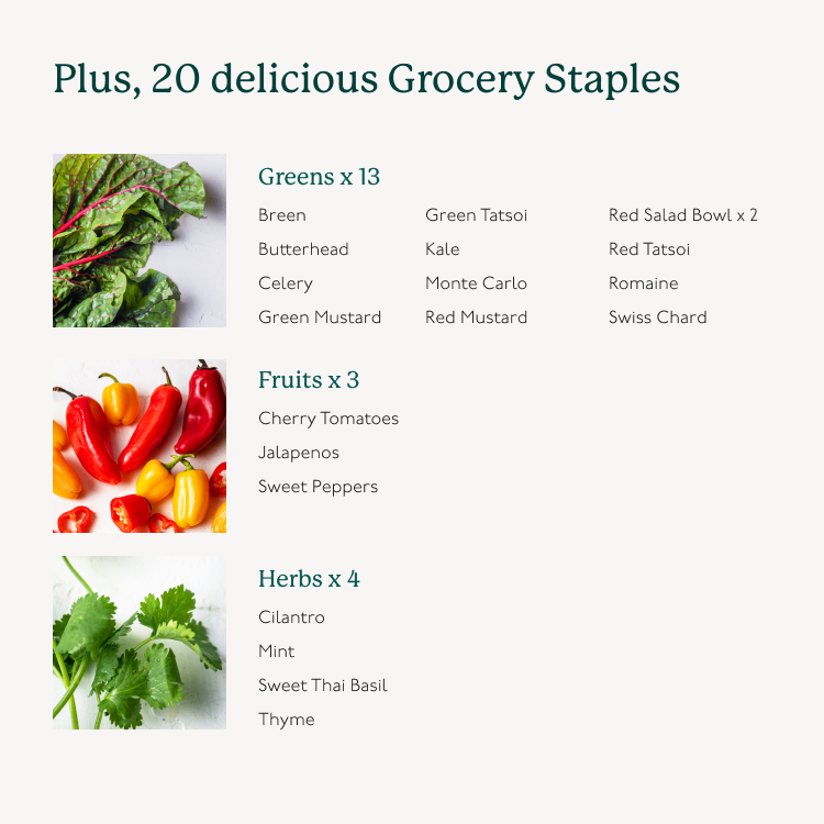 20-grocery-staples-thumbnails-1114