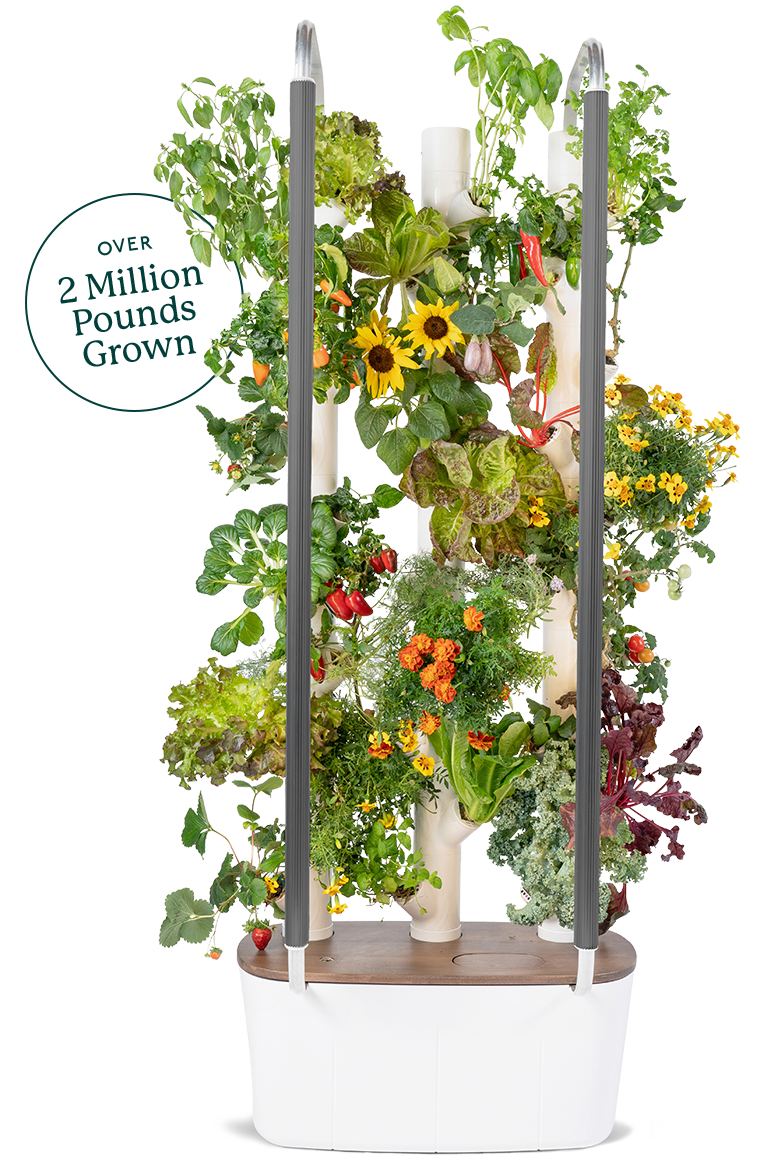 A stunning vertical Gardyn Home system showcasing a diverse array of plants, adding a touch of elegance and nature to any space. Text bubble on the left of the image says 'Over 2 million pounds grown'.
