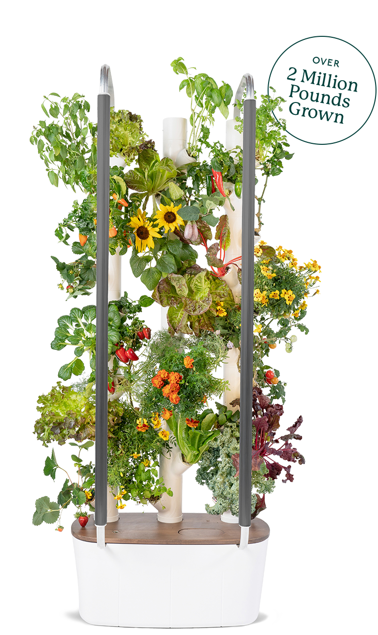 A stunning vertical Gardyn Home system showcasing a diverse array of plants, adding a touch of elegance and nature to any space. Text bubble on the right of the image says 'Over 2 million pounds grown'.