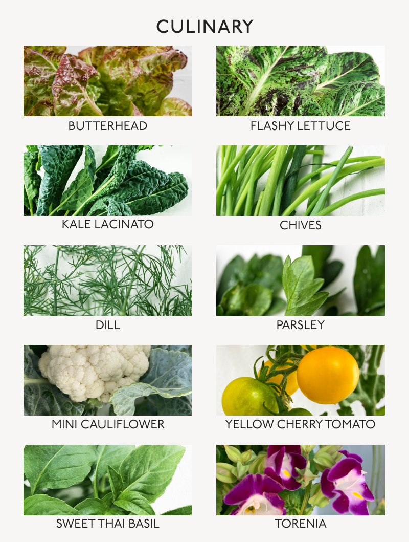 A poster showcasing a variety of vegetables and herbs included in Gardyn's Culinary Starter Kit, providing a visual guide to different types.