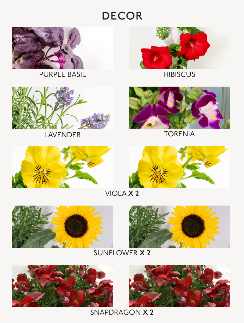 A poster showcasing a variety of vegetables and herbs included in Gardyn's Decor Starter Kit, providing a visual guide to different types.